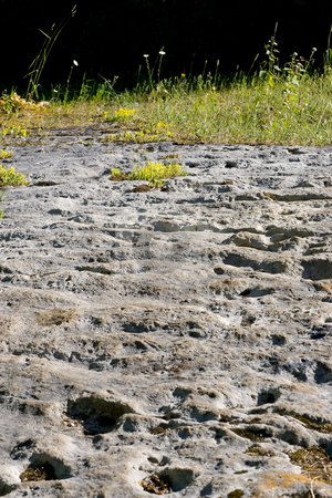 To use this stock image in your creative project, please select the size you need over to the right and click the "Add to Cart" button.
Your downloaded image will come with the Cutcaster watermark removed so don’t worry about the watermark you see on this page. Porous rocky terrain stock photo, Porous rock in the foreground, with tall grasses in the background, fading to black. by Kevin Woodrow