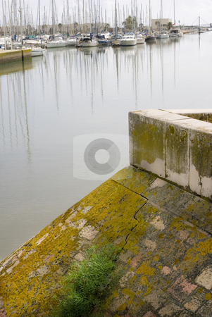 To use this stock image in your creative project, please select the size you need over to the right and click the "Add to Cart" button.
Your downloaded image will come with the Cutcaster watermark removed so don’t worry about the watermark you see on this page. Moss at the marina stock photo, Moss on the man-made banks with docked sailboats in the background. Lagos, Portugal, by Kevin Woodrow