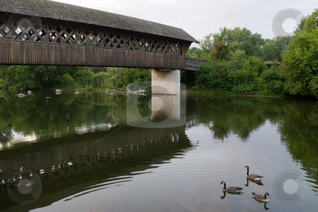 To use this stock image in your creative project, please select the size you need over to the right and click the "Add to Cart" button.
Your downloaded image will come with the Cutcaster watermark removed so don’t worry about the watermark you see on this page. Covered Bridge Perspective stock photo, A view of a covered bridge, with 3 Canada Geese swimming in the water nearby. Guelph, Ontario, Canada by Kevin Woodrow