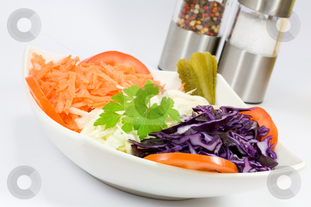 To use this stock image in your creative project, please select the size you need over to the right and click the "Add to Cart" button.
Your downloaded image will come with the Cutcaster watermark removed so don’t worry about the watermark you see on this page. Mixed vegetables stock photo, Mixed vegetables in a bowl with salt and pepper by Laurent Renault