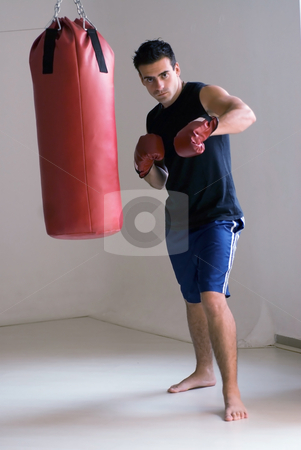 To use this stock image in your creative project, please select the size you need over to the right and click the "Add to Cart" button.
Your downloaded image will come with the Cutcaster watermark removed so don’t worry about the watermark you see on this page. Boxer's Workout stock photo, Athlete / boxer, looking straight into the camera, wearing gloves standing next to a heavy bag. by Orange Line Media