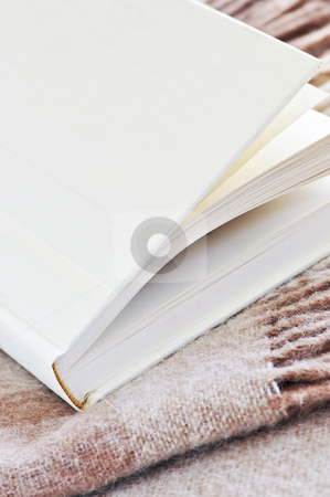 To use this stock image in your creative project, please select the size you need over to the right and click the "Add to Cart" button.
Your downloaded image will come with the Cutcaster watermark removed so don’t worry about the watermark you see on this page. Relaxing reading stock photo, Quiet time relaxing and reading a book by Elena Elisseeva