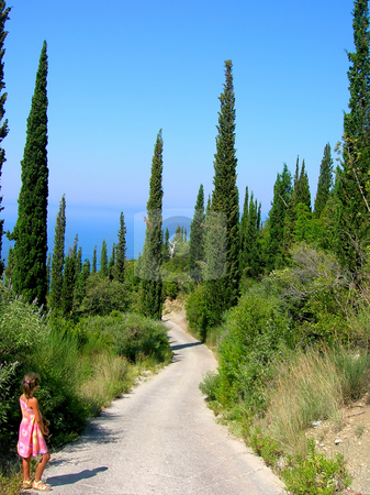 To use this stock image in your creative project, please select the size you need over to the right and click the "Add to Cart" button.
Your downloaded image will come with the Cutcaster watermark removed so don’t worry about the watermark you see on this page. Way between cypresses stock photo, Country curve road between cypresses nearby seashore by Julija Sapic
