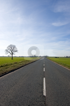 To use this stock image in your creative project, please select the size you need over to the right and click the "Add to Cart" button.
Your downloaded image will come with the Cutcaster watermark removed so don’t worry about the watermark you see on this page. Tree and long road stock photo, Single tree over looking a long road that stretches out almost to the vanishing point by Peter Cox