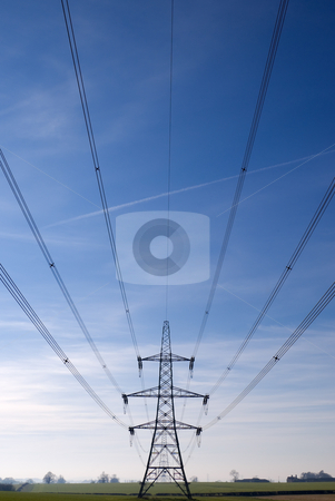To use this stock image in your creative project, please select the size you need over to the right and click the "Add to Cart" button.
Your downloaded image will come with the Cutcaster watermark removed so don’t worry about the watermark you see on this page. Electricity Pylons stock photo, Electricity pylon and cables stretching out into the distance across a green field by Peter Cox