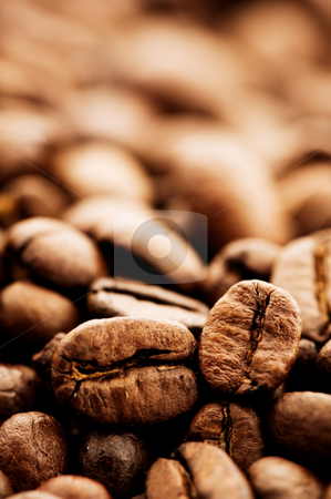 To use this stock image in your creative project, please select the size you need over to the right and click the "Add to Cart" button.
Your downloaded image will come with the Cutcaster watermark removed so don’t worry about the watermark you see on this page. Coffee beans stock photo, Coffee beans by Tommy Maenhout