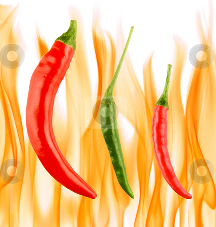 To use this stock image in your creative project, please select the size you need over to the right and click the "Add to Cart" button.
Your downloaded image will come with the Cutcaster watermark removed so don’t worry about the watermark you see on this page. Red and green chilli peppers stock photo, Red and green chilli peppers by Tommy Maenhout