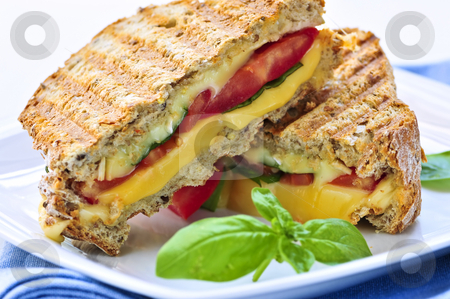 To use this stock image in your creative project, please select the size you need over to the right and click the "Add to Cart" button.
Your downloaded image will come with the Cutcaster watermark removed so don’t worry about the watermark you see on this page. Grilled cheese sandwich stock photo, Grilled cheese and tomato sandwich on a plate by Elena Elisseeva