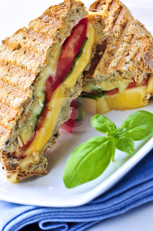 To use this stock image in your creative project, please select the size you need over to the right and click the "Add to Cart" button.
Your downloaded image will come with the Cutcaster watermark removed so don’t worry about the watermark you see on this page. Grilled cheese sandwich stock photo, Grilled cheese and tomato sandwich on a plate by Elena Elisseeva