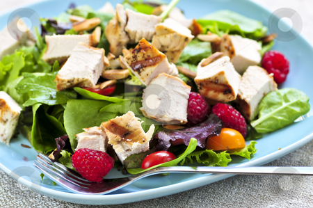 To use this stock image in your creative project, please select the size you need over to the right and click the "Add to Cart" button.
Your downloaded image will come with the Cutcaster watermark removed so don’t worry about the watermark you see on this page. Green salad with grilled chicken stock photo, Healthy green salad with grilled chicken breast by Elena Elisseeva