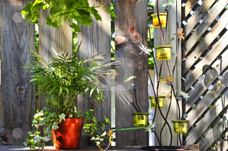 To use this stock image in your creative project, please select the size you need over to the right and click the "Add to Cart" button.
Your downloaded image will come with the Cutcaster watermark removed so don’t worry about the watermark you see on this page. Flower pots and decorations on house deck stock photo, Wooden house deck decorated with flower pots and candle holder by Elena Elisseeva