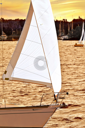 To use this stock image in your creative project, please select the size you need over to the right and click the "Add to Cart" button.
Your downloaded image will come with the Cutcaster watermark removed so don’t worry about the watermark you see on this page. Sailboat at sunset stock photo, Sailboat with white sail sailing at sunset by Elena Elisseeva