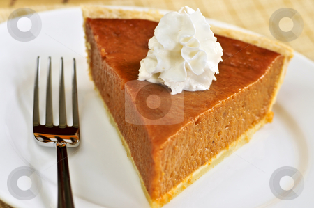 To use this stock image in your creative project, please select the size you need over to the right and click the "Add to Cart" button.
Your downloaded image will come with the Cutcaster watermark removed so don’t worry about the watermark you see on this page. Pumpkin pie stock photo, Slice of pumpkin pie with fresh whipped cream by Elena Elisseeva