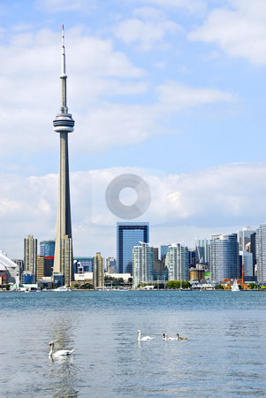 To use this stock image in your creative project, please select the size you need over to the right and click the "Add to Cart" button.
Your downloaded image will come with the Cutcaster watermark removed so don’t worry about the watermark you see on this page. Toronto skyline stock photo, Toronto harbor skyline with CN Tower and skyscrapers by Elena Elisseeva