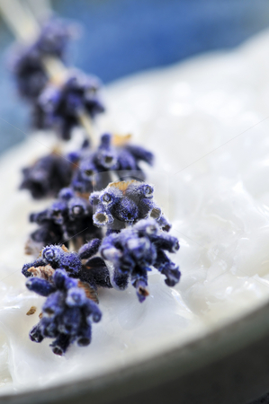 To use this stock image in your creative project, please select the size you need over to the right and click the "Add to Cart" button.
Your downloaded image will come with the Cutcaster watermark removed so don’t worry about the watermark you see on this page. Lavender cream stock photo, Natural cream skincare with branches of lavender by Elena Elisseeva