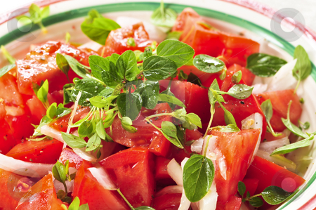 To use this stock image in your creative project, please select the size you need over to the right and click the "Add to Cart" button.
Your downloaded image will come with the Cutcaster watermark removed so don’t worry about the watermark you see on this page. Tomato salad stock photo, Summer tomato salad with onions and herbs by Elena Elisseeva