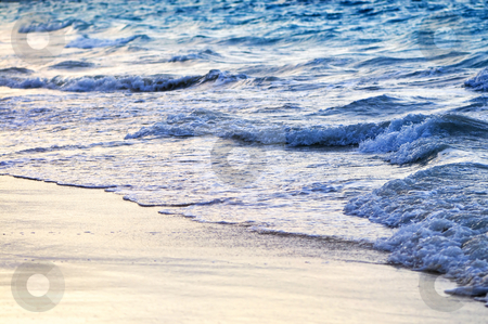 To use this stock image in your creative project, please select the size you need over to the right and click the "Add to Cart" button.
Your downloaded image will come with the Cutcaster watermark removed so don’t worry about the watermark you see on this page. Waves breaking on tropical shore stock photo, Tropical Caribbean sea waves breaking on the shore by Elena Elisseeva