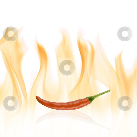 To use this stock image in your creative project, please select the size you need over to the right and click the "Add to Cart" button.
Your downloaded image will come with the Cutcaster watermark removed so don’t worry about the watermark you see on this page. Red chilli pepper stock photo, Red chilli pepper with reflection and fire background by Tommy Maenhout