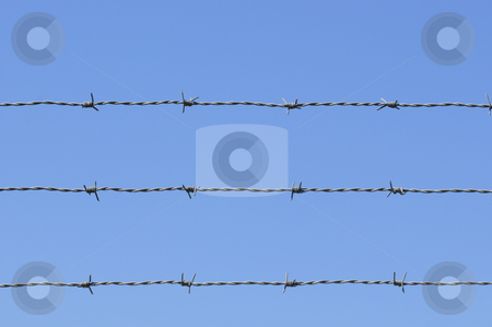 To use this stock image in your creative project, please select the size you need over to the right and click the "Add to Cart" button.
Your downloaded image will come with the Cutcaster watermark removed so don’t worry about the watermark you see on this page. Barb wire sky stock photo, Barb wire against blue sky by Magnus Johansson