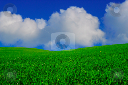 To use this stock image in your creative project, please select the size you need over to the right and click the "Add to Cart" button.
Your downloaded image will come with the Cutcaster watermark removed so don’t worry about the watermark you see on this page. Paradise stock photo, Paradise landscape with clear blue sky and white clouds by Magnus Johansson