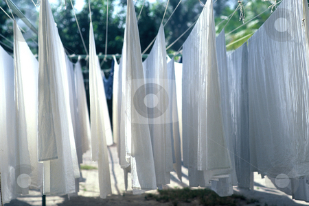 To use this stock image in your creative project, please select the size you need over to the right and click the "Add to Cart" button.
Your downloaded image will come with the Cutcaster watermark removed so don’t worry about the watermark you see on this page. Dreying Sheets stock photo, White Scheets drying outside, 4724x3159 Pixel, 42,7 MB, 300 dpi by Ute Wingenfeld
