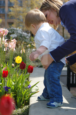 To use this stock image in your creative project, please select the size you need over to the right and click the "Add to Cart" button.
Your downloaded image will come with the Cutcaster watermark removed so don’t worry about the watermark you see on this page. Looking at Flowers - In Close stock photo, Side shot of a mother standing behind her son helping him look at flowers in a planter. by Orange Line Media