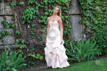 To use this stock image in your creative project, please select the size you need over to the right and click the "Add to Cart" button.
Your downloaded image will come with the Cutcaster watermark removed so don’t worry about the watermark you see on this page. Cute Blond Woman - Horizontal stock photo, Attractive blond woman in a bridesmaid's dress standing on a lush green lawn by Orange Line Media