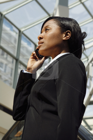 To use this stock image in your creative project, please select the size you need over to the right and click the "Add to Cart" button.
Your downloaded image will come with the Cutcaster watermark removed so don’t worry about the watermark you see on this page. Atrium Businesswoman - Vertical stock photo, Vertical shot of a businesswoman, talking on a cellphone, standing in an atrium. by Orange Line Media