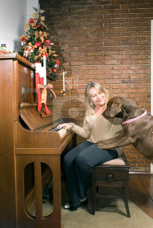 To use this stock image in your creative project, please select the size you need over to the right and click the "Add to Cart" button.
Your downloaded image will come with the Cutcaster watermark removed so don’t worry about the watermark you see on this page. Family Christmas stock photo, Older woman sitting at an upright piano at Christmas time getting ready to play while the family dog looks on curiously by Orange Line Media