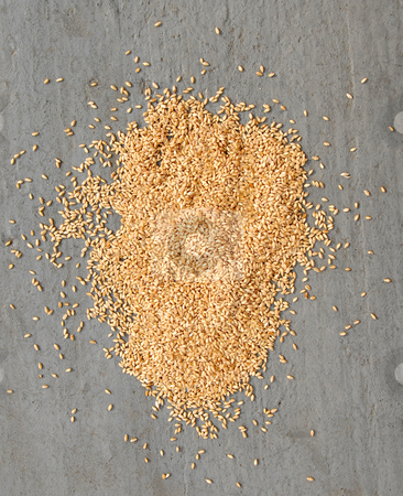 To use this stock image in your creative project, please select the size you need over to the right and click the "Add to Cart" button.
Your downloaded image will come with the Cutcaster watermark removed so don’t worry about the watermark you see on this page. Wheat over gray background stock photo, Wet wheat heap on gray concrete background by Julija Sapic