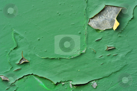 To use this stock image in your creative project, please select the size you need over to the right and click the "Add to Cart" button.
Your downloaded image will come with the Cutcaster watermark removed so don’t worry about the watermark you see on this page. Peeling paint stock photo, Macro image of peeling paint on an old galvanised iron door. Suitable as background with space for text. by Alistair Scott