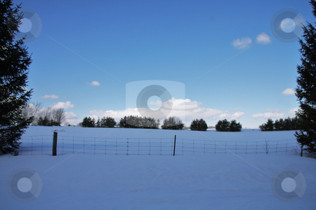 To use this stock image in your creative project, please select the size you need over to the right and click the "Add to Cart" button.
Your downloaded image will come with the Cutcaster watermark removed so don’t worry about the watermark you see on this page. Snow field stock photo, Country snow winter landscape by R Deron