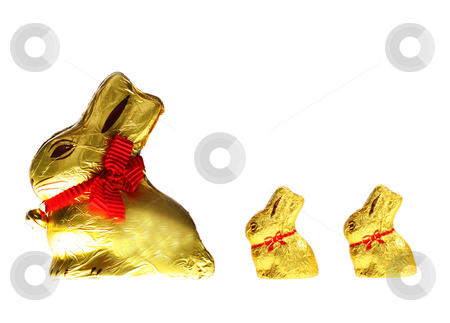 To use this stock image in your creative project, please select the size you need over to the right and click the "Add to Cart" button.
Your downloaded image will come with the Cutcaster watermark removed so don’t worry about the watermark you see on this page. Golden chocolate Easter bunnies stock photo, Twelve isolated golden chocolate Easter bunnies by Christopher Meder