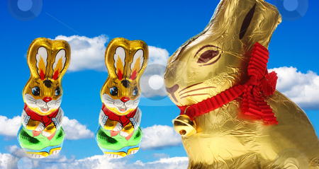 To use this stock image in your creative project, please select the size you need over to the right and click the "Add to Cart" button.
Your downloaded image will come with the Cutcaster watermark removed so don’t worry about the watermark you see on this page. Golden chocolate Easter bunny stock photo, A golden chocolate Easter bunny isolated with area for text by Christopher Meder