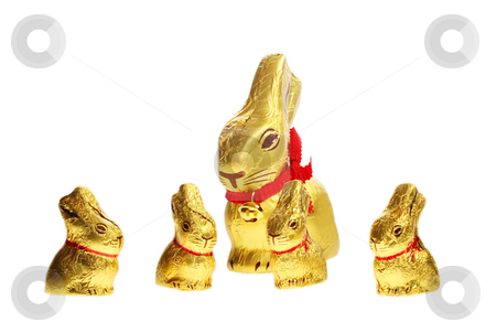 To use this stock image in your creative project, please select the size you need over to the right and click the "Add to Cart" button.
Your downloaded image will come with the Cutcaster watermark removed so don’t worry about the watermark you see on this page. Golden chocolate Easter bunnies stock photo, Golden chocolate Easter bunnies isolated with area for text by Christopher Meder
