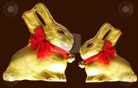 To use this stock image in your creative project, please select the size you need over to the right and click the "Add to Cart" button.
Your downloaded image will come with the Cutcaster watermark removed so don’t worry about the watermark you see on this page. Golden chocolate Easter bunny stock photo, A golden chocolate Easter bunny isolated with area for text by Christopher Meder