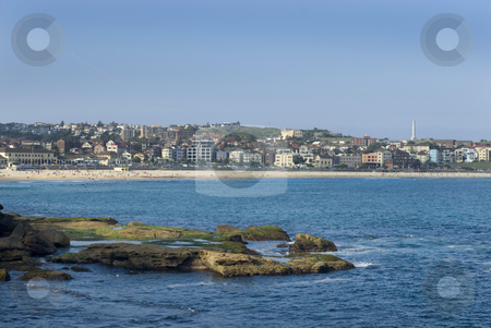 To use this stock image in your creative project, please select the size you need over to the right and click the "Add to Cart" button.
Your downloaded image will come with the Cutcaster watermark removed so don’t worry about the watermark you see on this page. Bondi Beach stock photo, Sydney's famous Bondi beach by Stephen Gibson