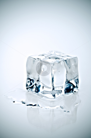 To use this stock image in your creative project, please select the size you need over to the right and click the "Add to Cart" button.
Your downloaded image will come with the Cutcaster watermark removed so don’t worry about the watermark you see on this page. Cross Processe icecube melting on a white reflective surface stock photo, Cross Processe image of an icecube melting on a white reflective surface by Vince Clements