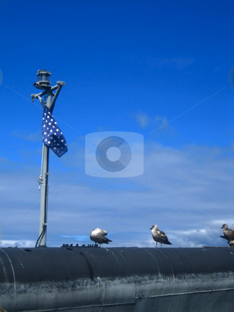 To use this stock image in your creative project, please select the size you need over to the right and click the "Add to Cart" button.
Your downloaded image will come with the Cutcaster watermark removed so don’t worry about the watermark you see on this page. Industrial installations stock photo, Industrial facilities and installations by Albert Lozano