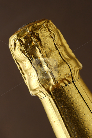 To use this stock image in your creative project, please select the size you need over to the right and click the "Add to Cart" button.
Your downloaded image will come with the Cutcaster watermark removed so don’t worry about the watermark you see on this page. Champagne foil top stock photo, Close up of foil covered champagne cork by Paul Turner