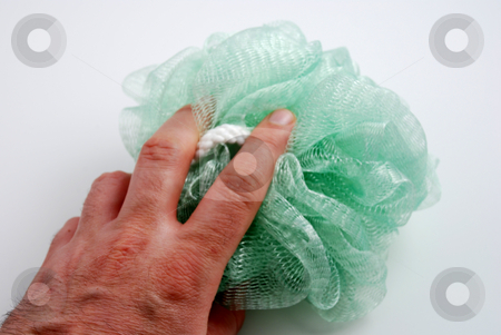 To use this stock image in your creative project, please select the size you need over to the right and click the "Add to Cart" button.
Your downloaded image will come with the Cutcaster watermark removed so don’t worry about the watermark you see on this page. Sponge stock photo, Stock pictures of a green sponge for bath or shower by Albert Lozano