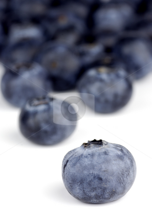 To use this stock image in your creative project, please select the size you need over to the right and click the "Add to Cart" button.
Your downloaded image will come with the Cutcaster watermark removed so don’t worry about the watermark you see on this page. Blueberry stock photo, Blueberries on white background with one isolated blueberry by Paul Turner