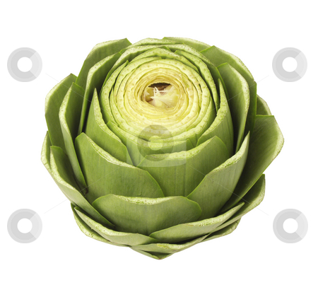 To use this stock image in your creative project, please select the size you need over to the right and click the "Add to Cart" button.
Your downloaded image will come with the Cutcaster watermark removed so don’t worry about the watermark you see on this page. Artichoke stock photo, Artichoke isolated on a white background by Danny Smythe