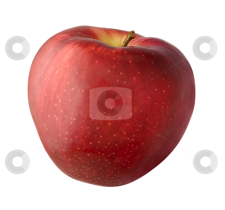 To use this stock image in your creative project, please select the size you need over to the right and click the "Add to Cart" button.
Your downloaded image will come with the Cutcaster watermark removed so don’t worry about the watermark you see on this page. Apple stock photo, Apple isolated on a white background by Danny Smythe