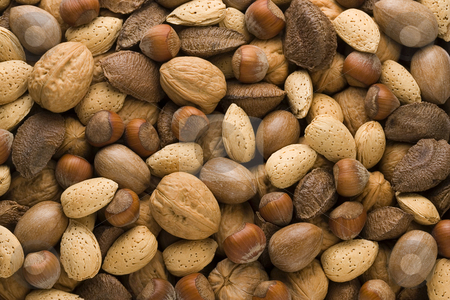 To use this stock image in your creative project, please select the size you need over to the right and click the "Add to Cart" button.
Your downloaded image will come with the Cutcaster watermark removed so don’t worry about the watermark you see on this page. Assorted Nuts stock photo, Assorted Nuts by Danny Smythe