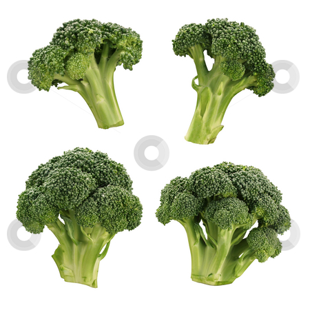 To use this stock image in your creative project, please select the size you need over to the right and click the "Add to Cart" button.
Your downloaded image will come with the Cutcaster watermark removed so don’t worry about the watermark you see on this page. Broccoli stock photo, Broccoli isolated on a white background by Danny Smythe