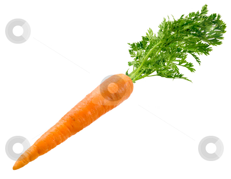 To use this stock image in your creative project, please select the size you need over to the right and click the "Add to Cart" button.
Your downloaded image will come with the Cutcaster watermark removed so don’t worry about the watermark you see on this page. Carrot stock photo, Carrot isolated on a white background by Danny Smythe