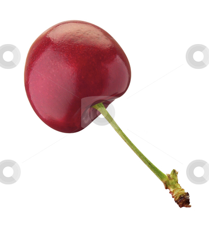 To use this stock image in your creative project, please select the size you need over to the right and click the "Add to Cart" button.
Your downloaded image will come with the Cutcaster watermark removed so don’t worry about the watermark you see on this page. Cherries stock photo, Cherries isolated on a white background by Danny Smythe