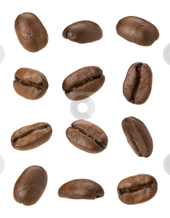 To use this stock image in your creative project, please select the size you need over to the right and click the "Add to Cart" button.
Your downloaded image will come with the Cutcaster watermark removed so don’t worry about the watermark you see on this page. Coffee Beans stock photo, Coffee Beans isolated on a white background by Danny Smythe