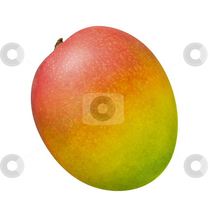 To use this stock image in your creative project, please select the size you need over to the right and click the "Add to Cart" button.
Your downloaded image will come with the Cutcaster watermark removed so don’t worry about the watermark you see on this page. Mango stock photo, Mango isolated on a white background by Danny Smythe